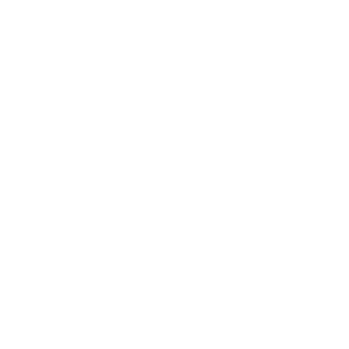 Fraud Defense Network Logo